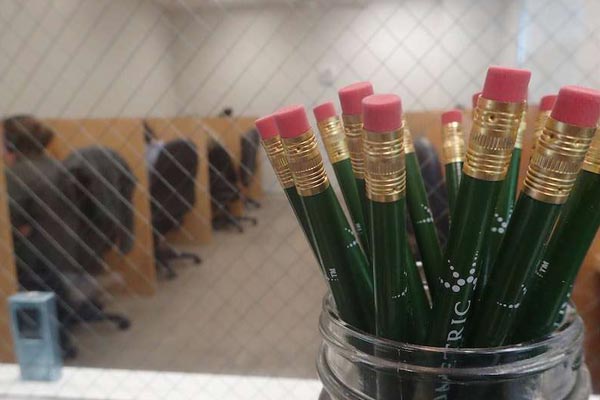 Cup with pencils in testing center table